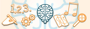 Una descripción general del aprendizaje del cerebro derecho