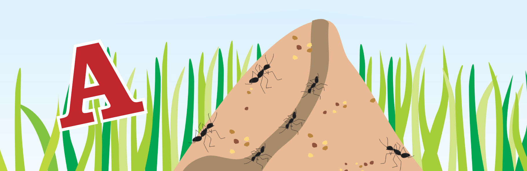 Ants are Amazing: Letter A