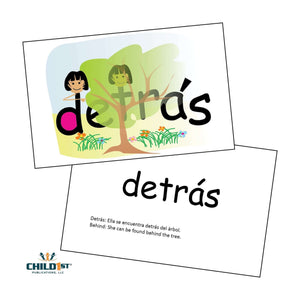 SnapWords® Spanish Teaching Card DETRAS