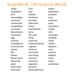 Load image into Gallery viewer, SnapWords Life Science Words
