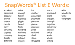 Load image into Gallery viewer, SnapWords® List E Words
