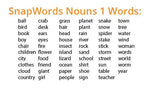 Load image into Gallery viewer, SnapWords Nouns 1 Words
